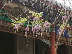 -北京市劳动人民文化宫(太庙)