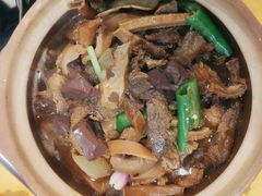 -大戚饭店(泰华路店)