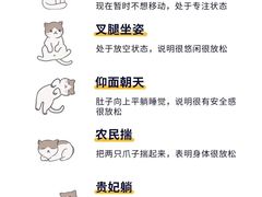 -瑞鹏宠物医院·骨外科·心肾科·肿瘤科(九亭店)
