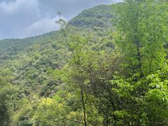 -众神白水涧景区