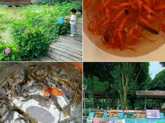 -洪湖家庭农场·团建·露营·会议