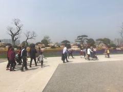 -南通鲜花小镇
