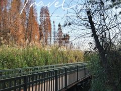 -捞渔河湿地公园