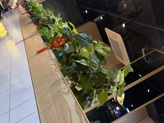 -胡须佬鸡煲四季火锅(海雅缤纷城店)