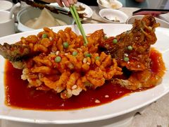 松鼠桂鱼-紫光园(顺义店)