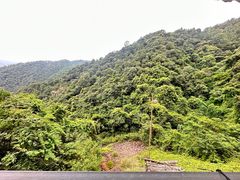 -大余丫山旅游度假区