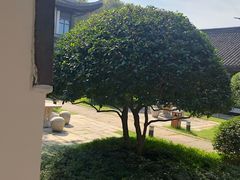 -绍兴饭店知遇楼(环山路店)