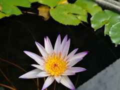-龙潭水乡