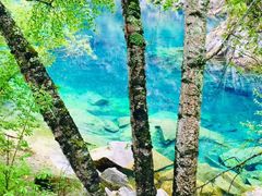 -叠溪松坪沟景区