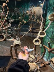 -Zoolung Zoolung动物主题公园(海信广场店)