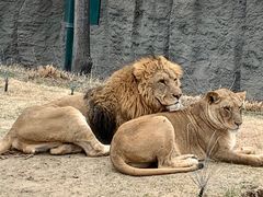 -北京野生动物园