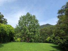 -深圳仙湖植物园