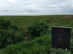 -北海金海湾红树林生态旅游区