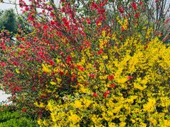 -徐州博顿温德姆酒店(高铁东站店)