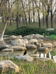 -大望京儿童游乐场