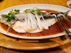 -宁波柏悦酒店·钱湖渔港