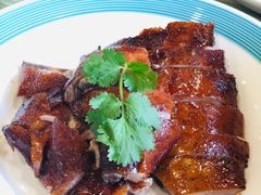 -椿记烧鹅(叠彩店)