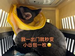 -美联众合动物医院·24h转诊中心