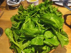 -老凯俚酸汤鱼(多彩城店)