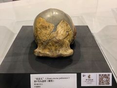 -北京周口店北京人遗址博物馆