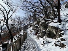 -帽儿山国家森林公园