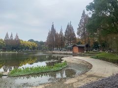 -河泥荡文化公园