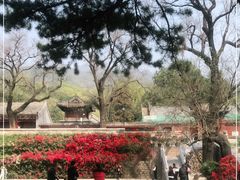 -红螺寺