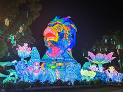 -苏州乐园森林水世界