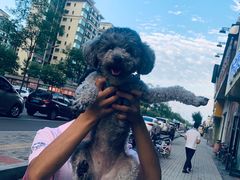 -太原东方动物医院(小店分院)