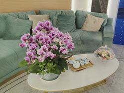 -雅曼妮spa美容养生