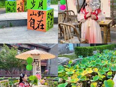 -万源龙顺度假庄园生态观光园