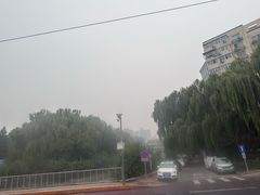 -皇家御河游(紫御湾码头)