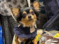 -香港会议展览中心演讲厅