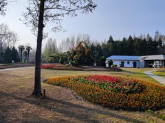 -东平国家森林公园