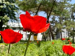 -国家植物园南园