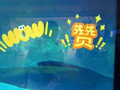 -海合安成都极地海洋公园