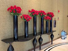 -圣丰索菲特·法国餐厅