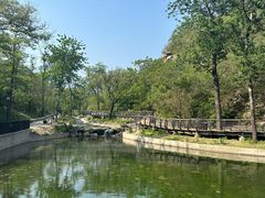 -白水寺森林公园