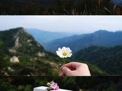 -沂蒙山旅游区云蒙景区(蒙山国家森林公园)