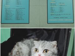 -半岛宠物医院24小时(科华中路店)
