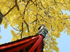 -金堂县云顶石城风景区