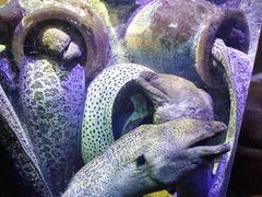 -太平洋海底世界