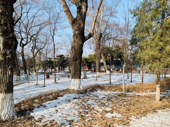 万泉公园图片