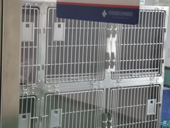 -欧奕国际动物医院