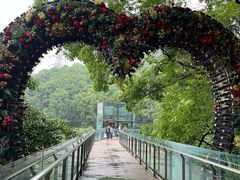-巴倒烫陆派火锅山庄(南山总店)