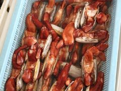 -南沙十九涌渔人码头-南门