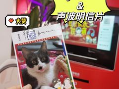 -Sony Store 索尼(上海淮海中路店)
