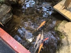 -世外桃源农庄·德清土菜(兴康南路店)