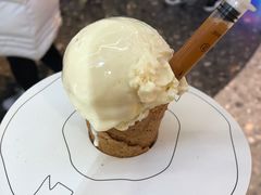 -N2怪咖冰淇淋(金安店)