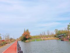 -上海长兴岛郊野公园